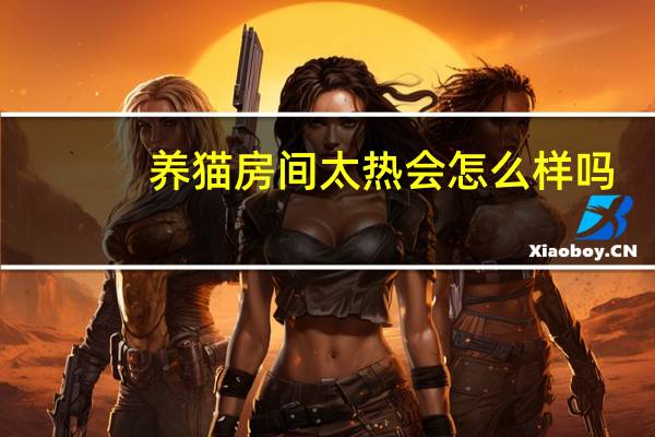 养猫房间太热会怎么样吗