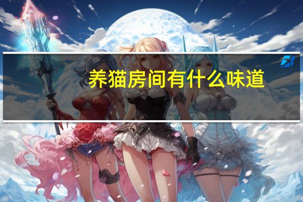 养猫房间有什么味道