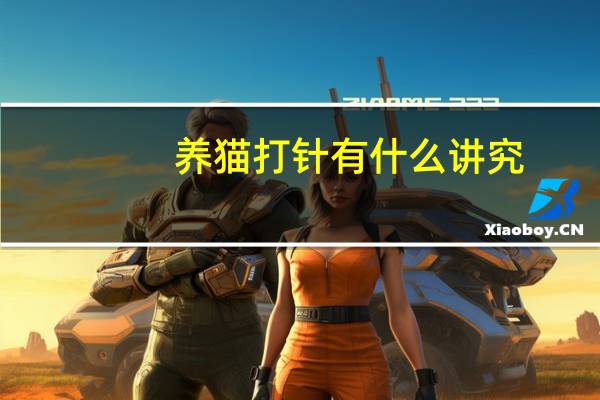 养猫打针有什么讲究