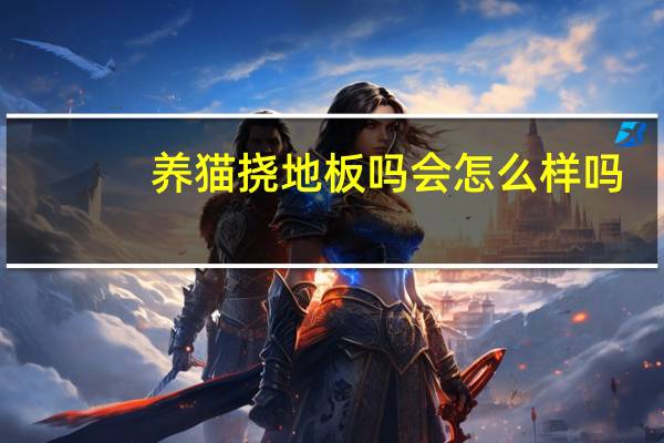 养猫挠地板吗会怎么样吗