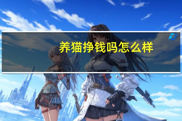 养猫挣钱吗怎么样