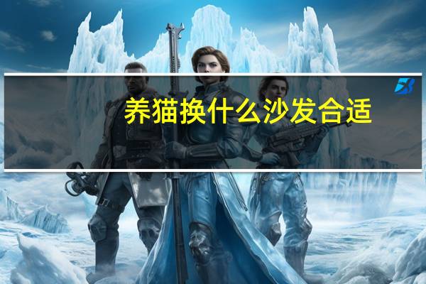 养猫换什么沙发合适