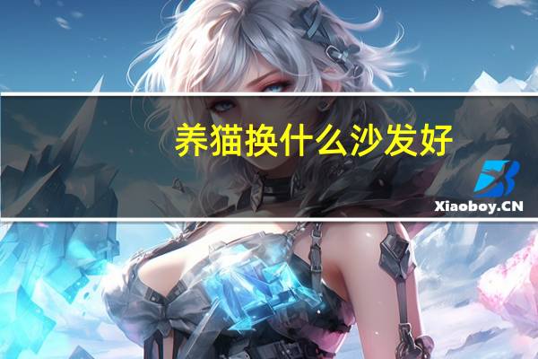 养猫换什么沙发好
