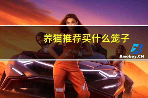 养猫推荐买什么笼子