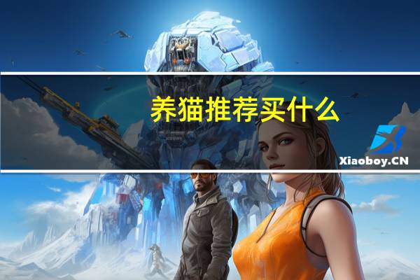 养猫推荐买什么