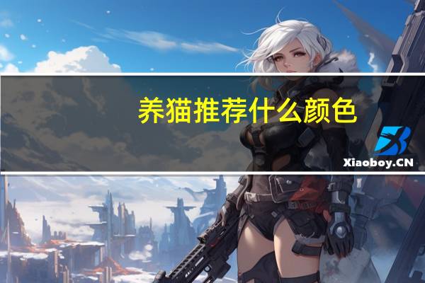 养猫推荐什么颜色
