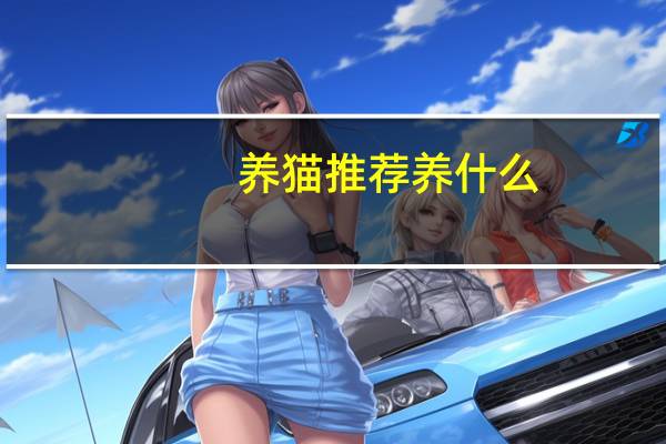 养猫推荐养什么