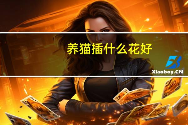 养猫插什么花好