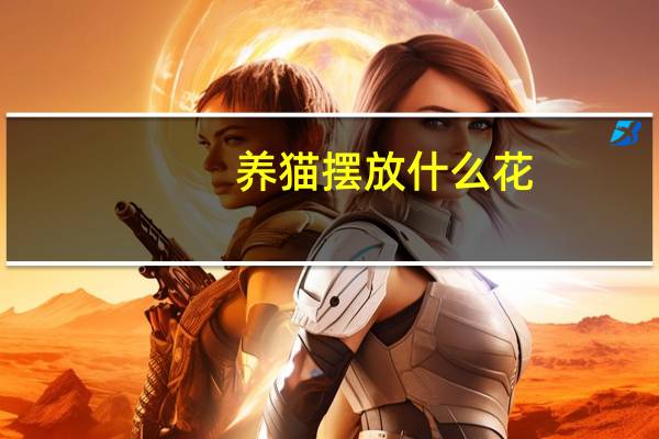 养猫摆放什么花