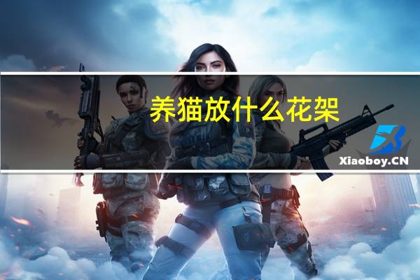 养猫放什么花架
