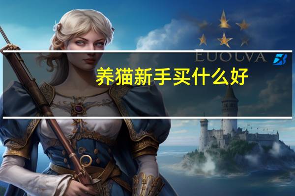 养猫新手买什么好