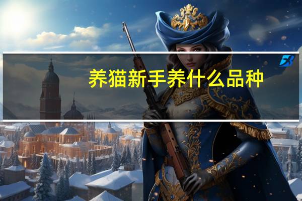养猫新手养什么品种