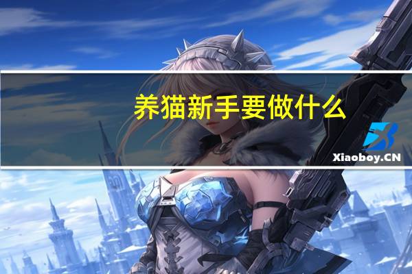 养猫新手要做什么
