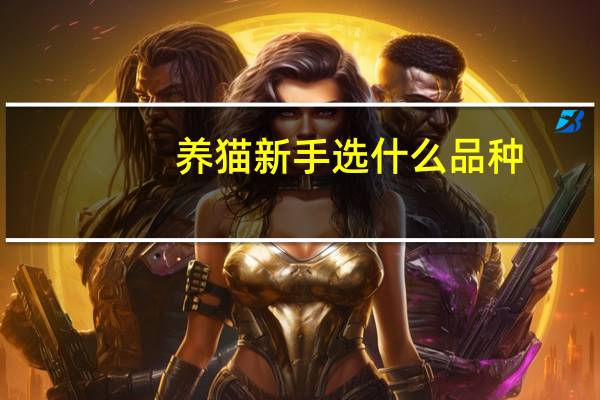 养猫新手选什么品种