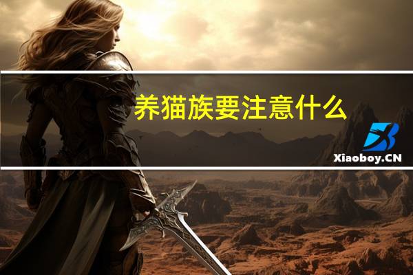 养猫族要注意什么