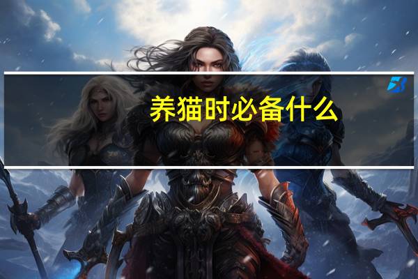 养猫时必备什么