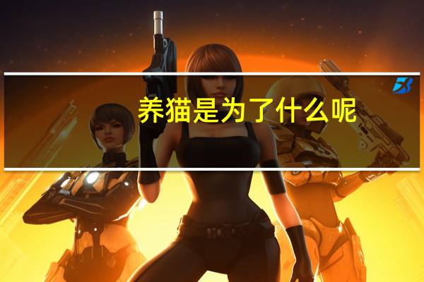养猫是为了什么呢