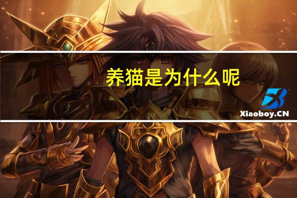 养猫是为什么呢