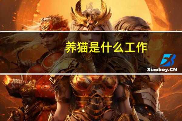 养猫是什么工作