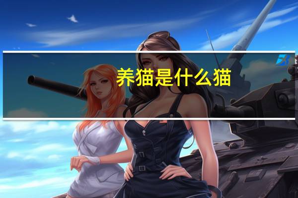 养猫是什么猫