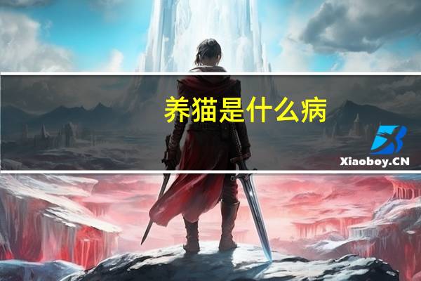 养猫是什么病
