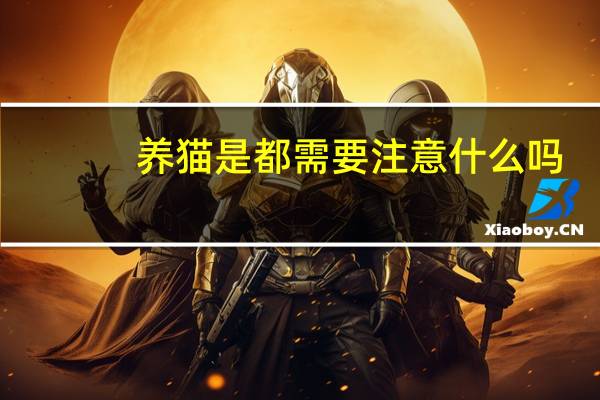 养猫是都需要注意什么吗