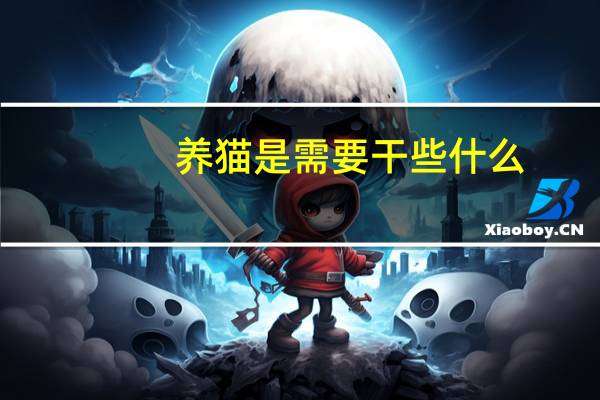养猫是需要干些什么