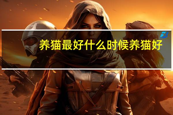 养猫最好什么时候养猫好