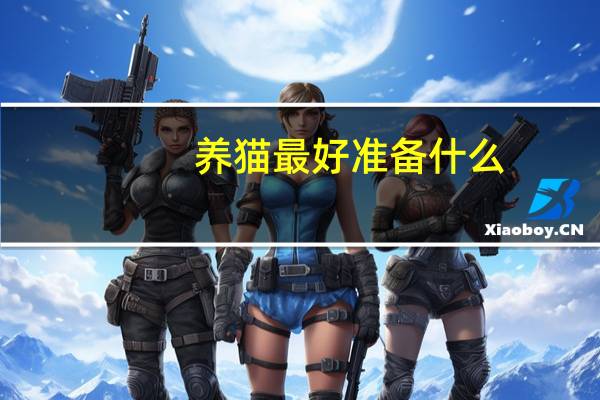 养猫最好准备什么