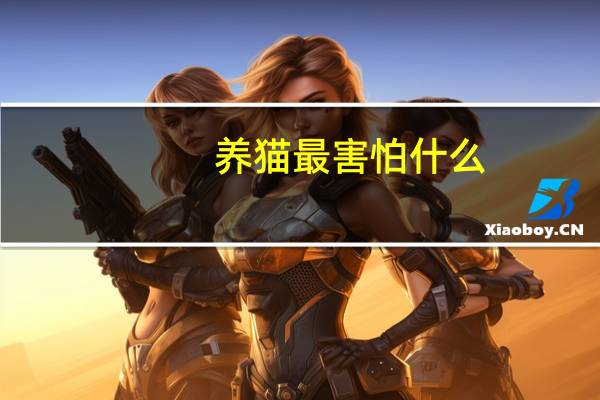 养猫最害怕什么