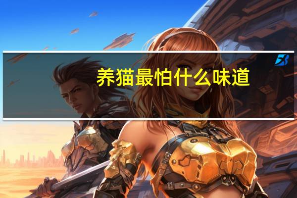 养猫最怕什么味道