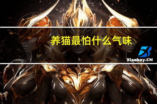 养猫最怕什么气味