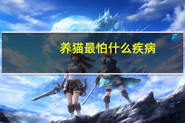 养猫最怕什么疾病