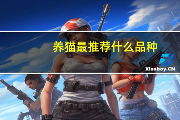养猫最推荐什么品种