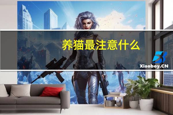 养猫最注意什么