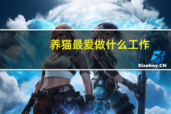 养猫最爱做什么工作