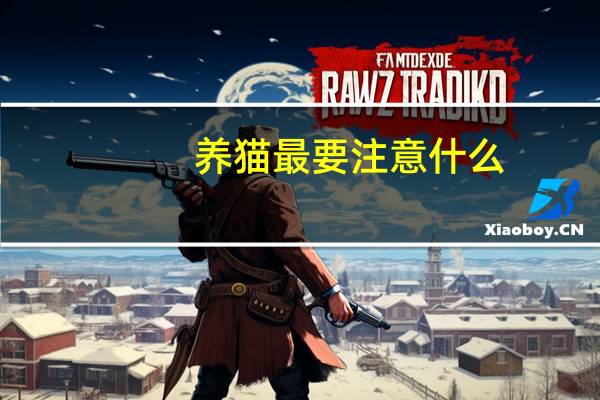 养猫最要注意什么