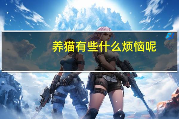 养猫有些什么烦恼呢