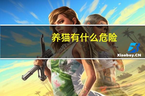 养猫有什么危险