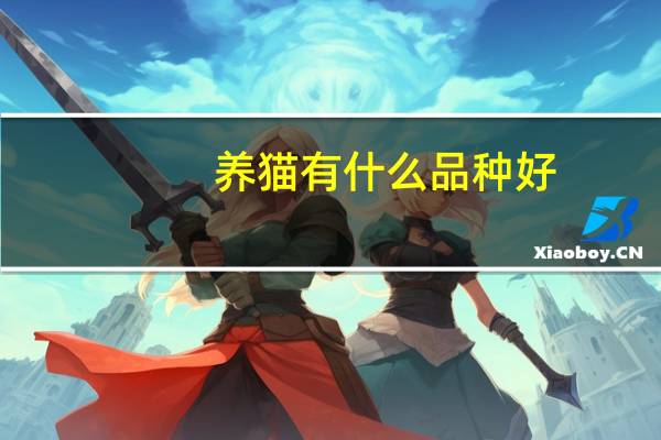 养猫有什么品种好