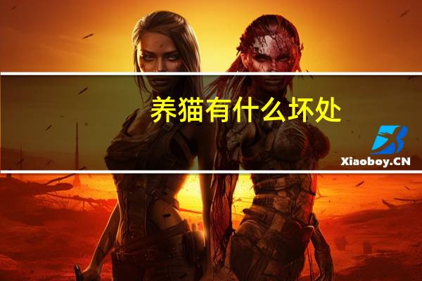 养猫有什么坏处