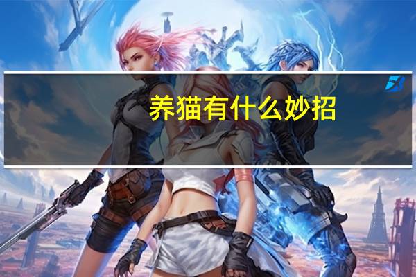 养猫有什么妙招