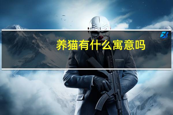 养猫有什么寓意吗