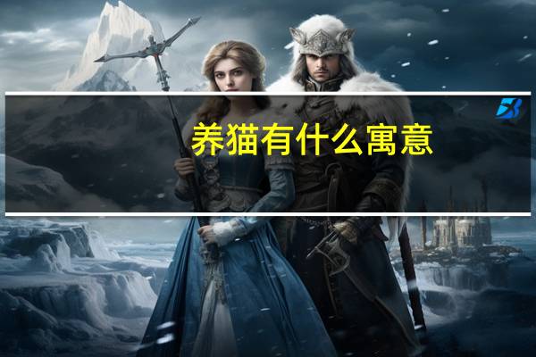 养猫有什么寓意