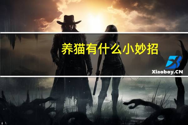 养猫有什么小妙招