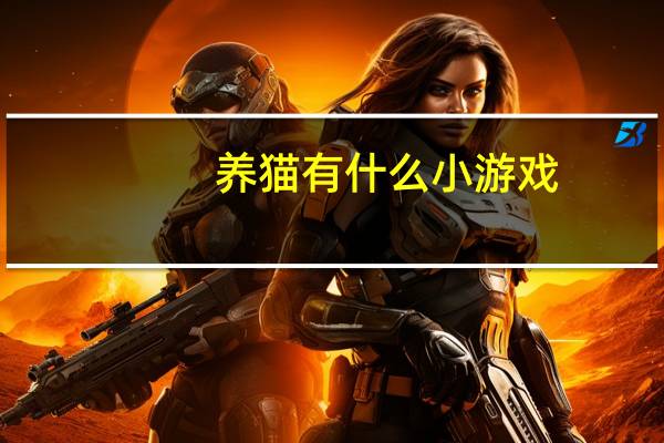 养猫有什么小游戏