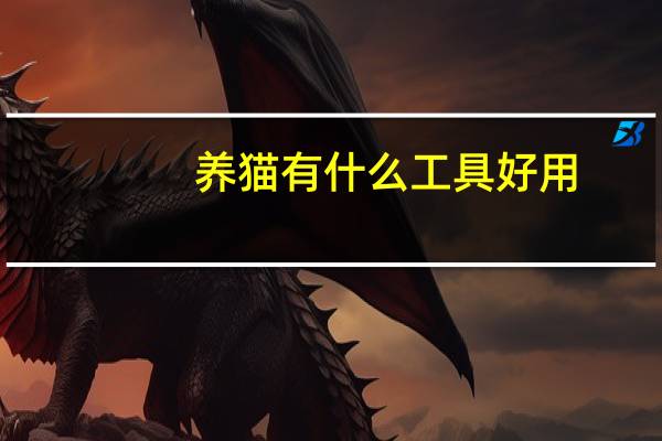 养猫有什么工具好用