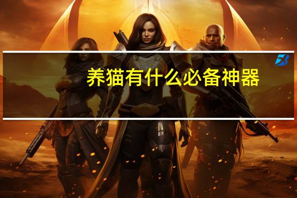 养猫有什么必备神器