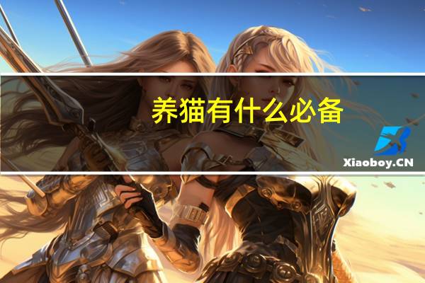 养猫有什么必备