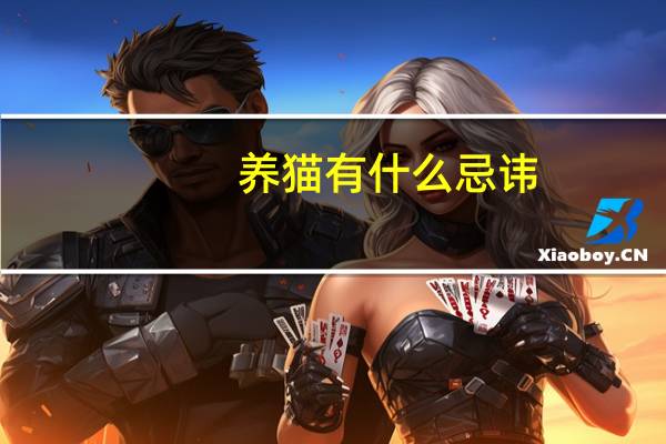 养猫有什么忌讳